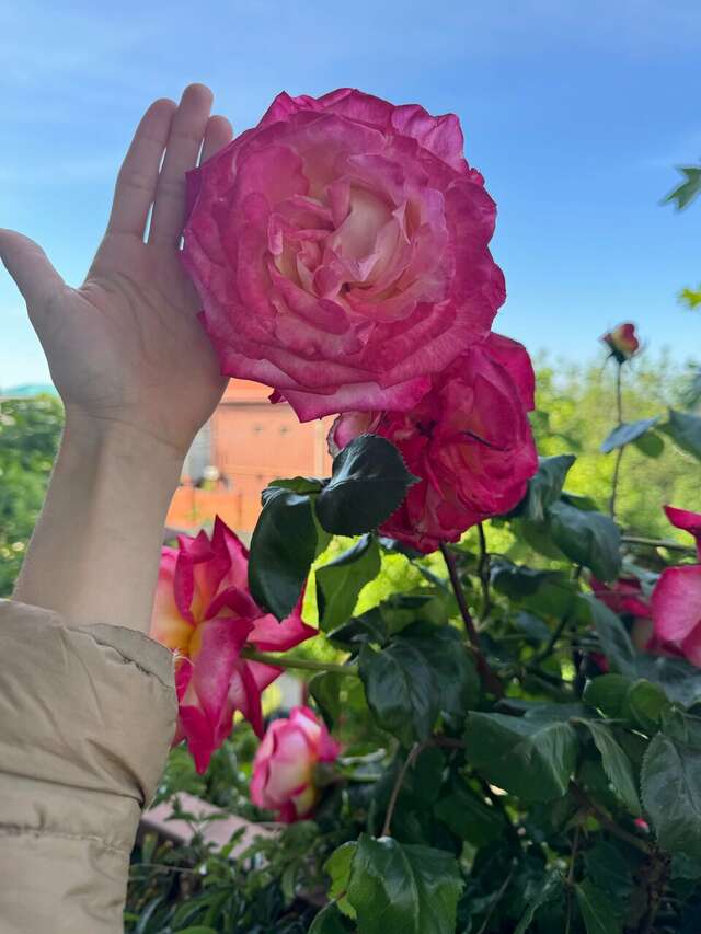 Гостиница Валентин Голубая Бухта-73